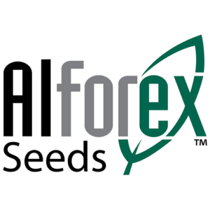 Alforex Seeds