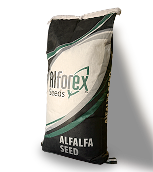 Alforex seed forex standard deviation channel indicator