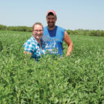 Alforex Seeds Hi-Ton alfalfa grower Git-R-Done Farm, Auburndale, WI