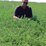 Alforex Seeds Hi-Ton alfalfa grower, Eli Bailey, Seed Manager, Bingham Coop, Blackfoot, ID