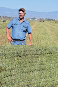 Alforex Seeds Hi-Gest alfalfa growerGerald Ziegler, Ziegler Farms, Alamosa, CO