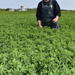 Alforex Seeds Hi-Ton alfalfa grower Jake Brock, Brock Dairy Farm, Dagget, MI