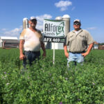 Alforex Seeds Hi-Ton alfalfa grower Donald Ihrke, Altura MN