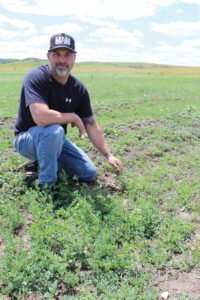 Alforex Seeds Rugged Hi-Salt alfalfa grower, Willie Kist, Mandan ND