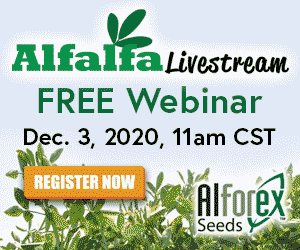 Alfalfa Livestream December 3, 2020, 11am CST