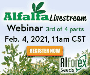 Alfalfa Livestream