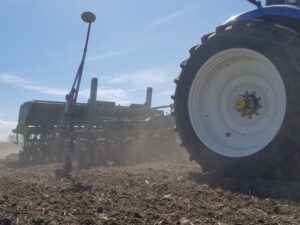 Late Summer Planting of Alfalfa