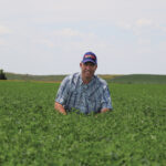 Kevin Melvin AFX 579 grower, Greensburg, KS