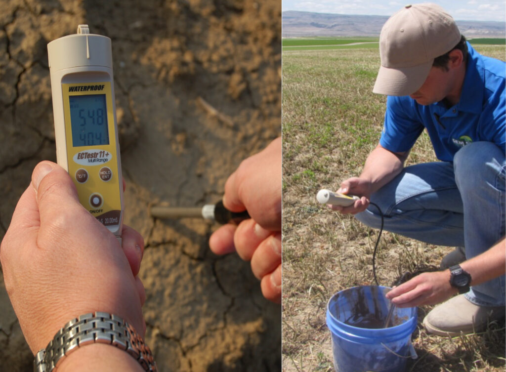 Alfalfa stand testing for salinity on drought stricken soil with an EC Meter