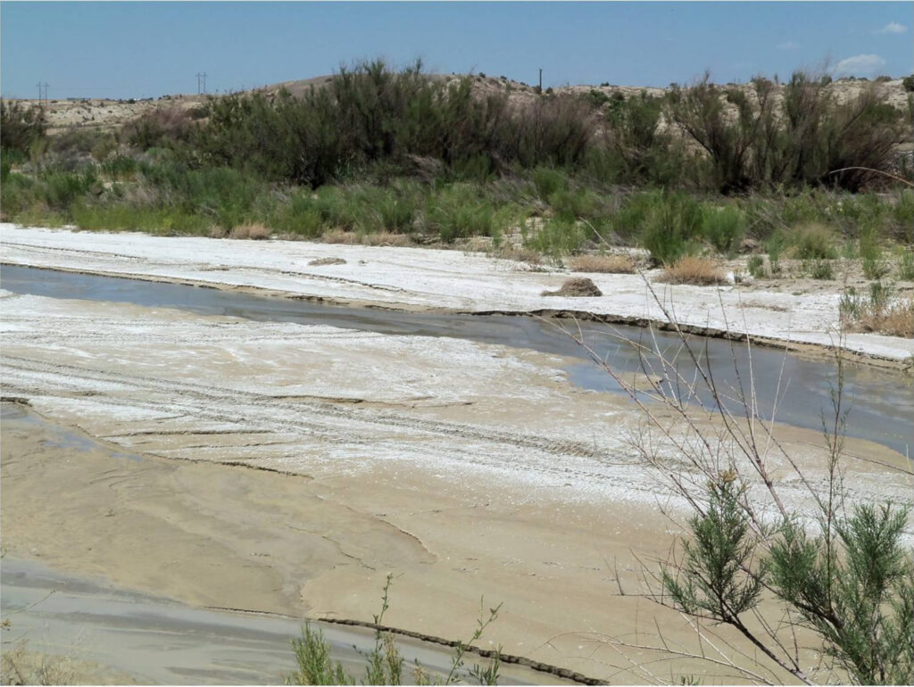 irrigation canal for an alfalfa field with visible salt residue