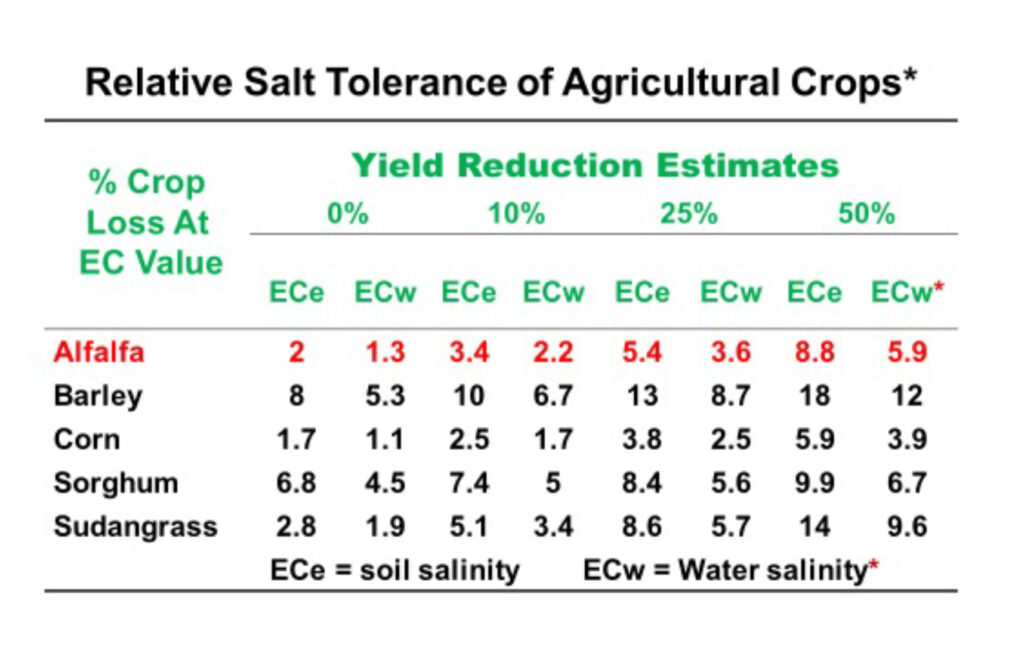 salinity affects on alfalfa yield and other crops