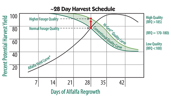 28 day harvest schedule for Hi-Gest alfalfa technology varieties