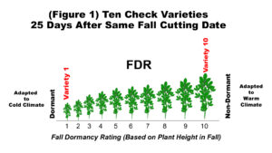 Figure 1 Fall Dormancy based on height