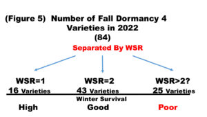 Fall Dormancy 4 varieties in 2022 and their winter survival ratings