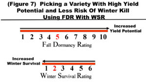 using fall dormancy rating and winter survival rating together to select a variety with high yield and less risk of winterkill