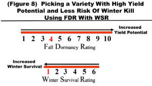 using fall dormancy rating with winter survival rating to choose a variety with high yield and less risk of winterkill