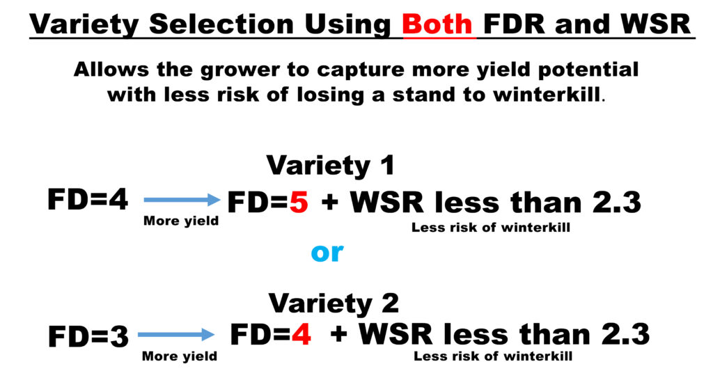 Winter Survival and Fall Dormancy combined for choosing alfalfa variety